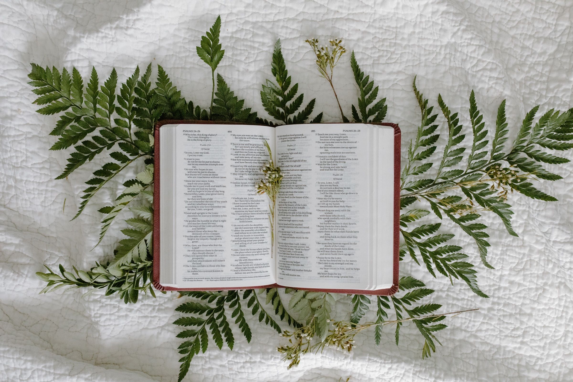 An open Bible surrounded by fern leaves